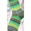 Schoeller & Stahl - Fortissima Socka Mexiko Fruitis Colour Sock Yarn 